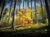 Bunte Vielfalt